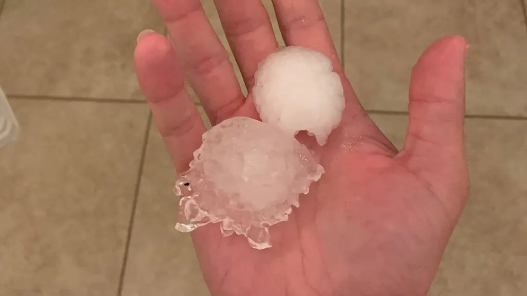 Large hailstones held in a hand after a Central Texas hail storm