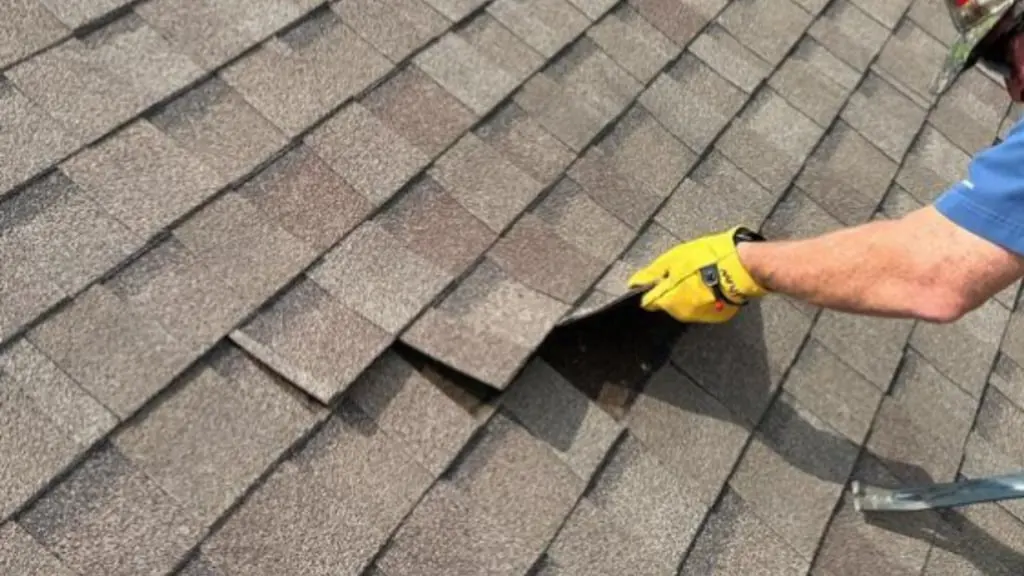 Roof Advisor checking shingles during a residential roof maintenance visit